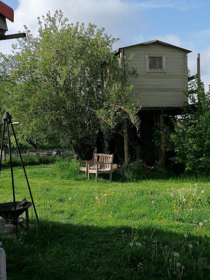 B&B Lekker Buiten Lierde Zewnętrze zdjęcie